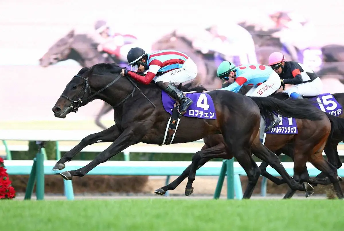 【神戸新聞杯2026】予想と一週前追い切り・調教評価