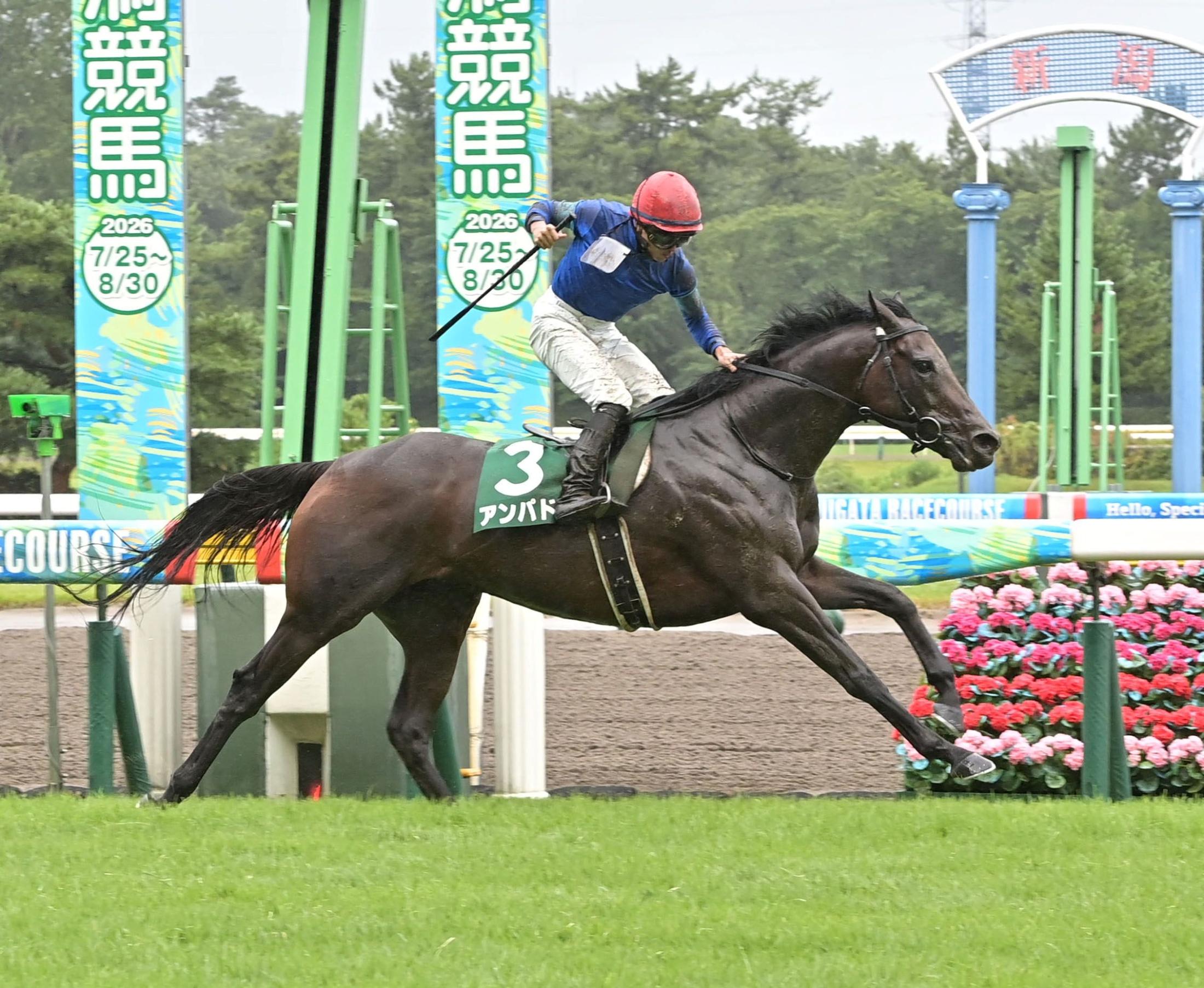 【富士ステークス2026】予想と一週前追い切り・調教評価