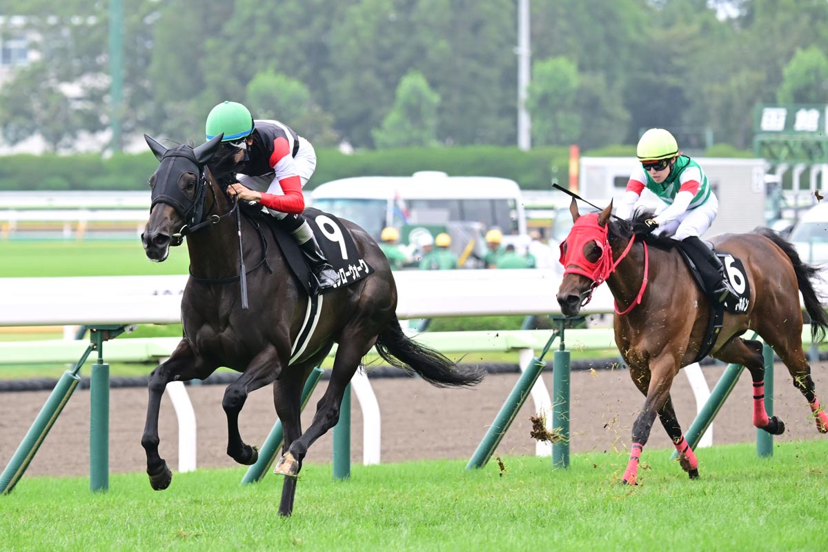 【秋華賞2026】予想と一週前追い切り・調教評価